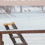 seed-sow-q1-24