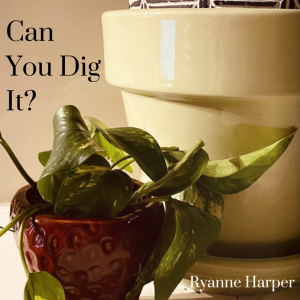 Can You Dig It? Potted Plants