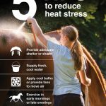 Purina-5-tips-horses-cool