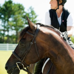 keeping-horses-cool-hot-weather