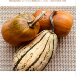 farmer-coop-seed-sow-sept-2024