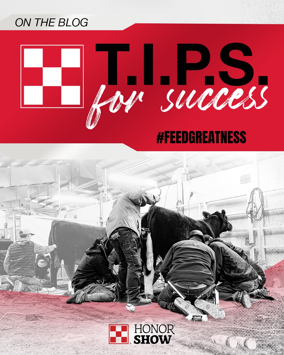 Show tips for success at your local summer shows